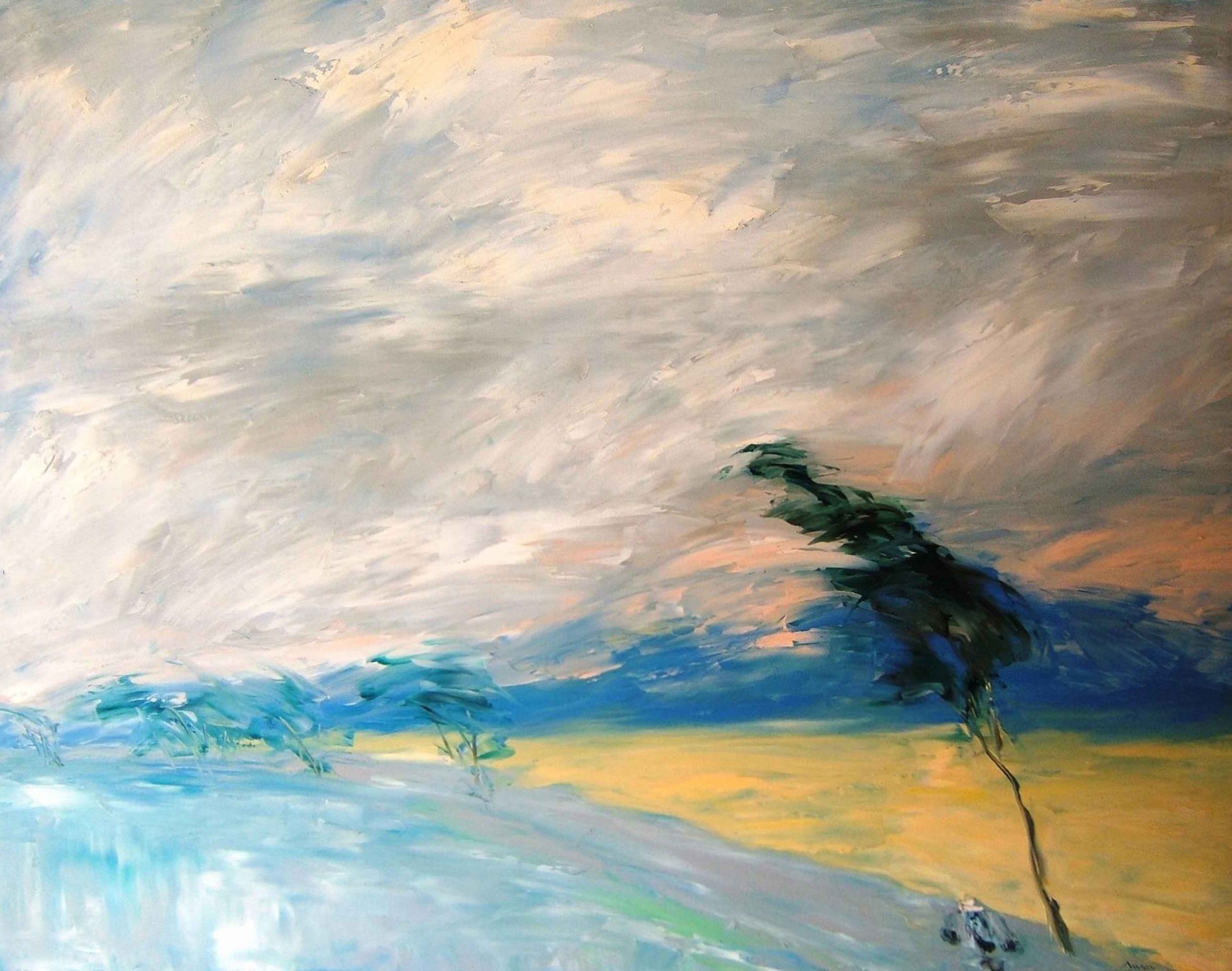 The Wind 2005 114 x 146 x 5 cm